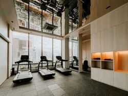 Klimt Cairnhill (D9), Apartment #495635591